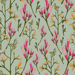 seamless pattern with flowers and herbs