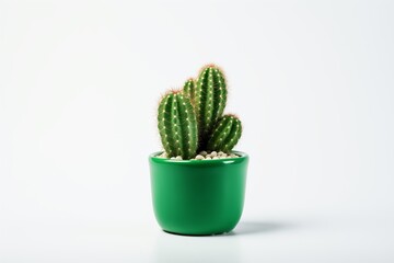 Cactus in Green Pot, White Background, Minimalist Style, Simple Plant Decor for Modern Spaces