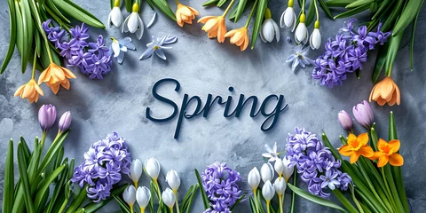 Gordijnen Daffodils, hyacinths, snowdrops, crocuses with text spring on grey background, flat lay greeting card © t.sableaux