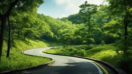 a roadway winding through lush green trees, the natural splendor and serenity of the tree-lined path, creating an inviting and tranquil scene.