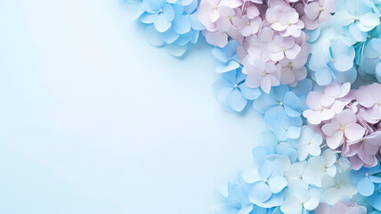 Obraz premium Hydrangea background copy space blue background Floral background delicate composition for greeting cards, isolated flowers on a blue background. Copy space
