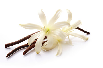 Vanilla isolated on white background created with Generative Ai