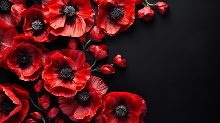 Red poppies rest on dark backdrop in this simple yet attractive top view banner design with copy space, Generative AI.