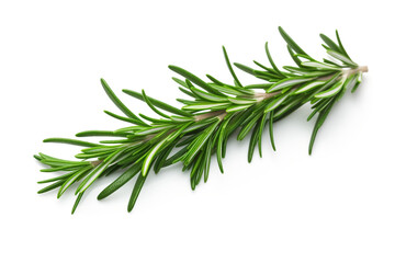 Rosemary isolated on white background created with Generative Ai