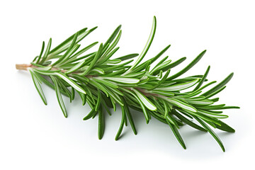 Rosemary isolated on white background created with Generative Ai