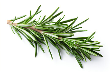 Rosemary isolated on white background created with Generative Ai