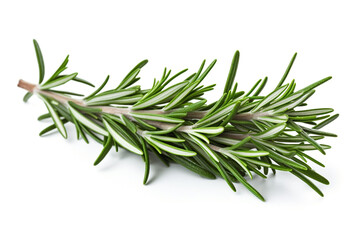 Rosemary isolated on white background created with Generative Ai