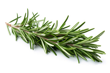 Fototapeta premium Rosemary isolated on white background created with Generative Ai
