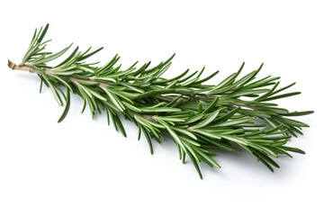 Rosemary isolated on white background created with Generative Ai