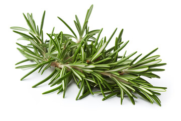 Fototapeta premium Rosemary isolated on white background created with Generative Ai
