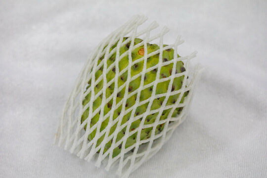 Ripe atemoya fruit isolated in selective focus (Annona &times; atemoya)