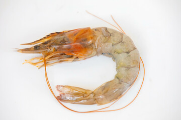 Clean fresh shrimp in selective focus and fine details