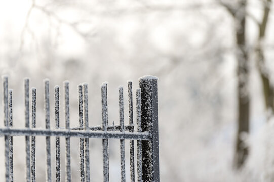 Winter frosty day - metal fence in frost.