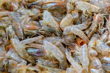 Shrimp shells and heads in fine detail