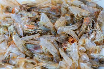 Shrimp shells and heads in fine detail