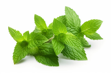 Spearmint isolated on white background created with Generative Ai
