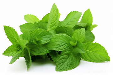 Spearmint isolated on white background created with Generative Ai