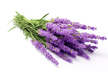 Lavender isolated on white background created with Generative Ai