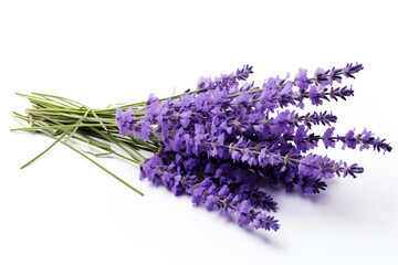 Lavender isolated on white background created with Generative Ai