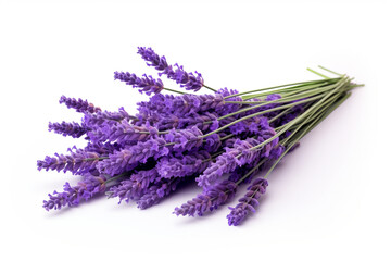 Lavender isolated on white background created with Generative Ai