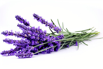 Lavender isolated on white background created with Generative Ai