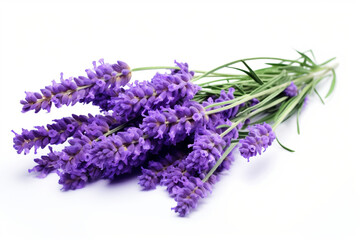 Lavender isolated on white background created with Generative Ai