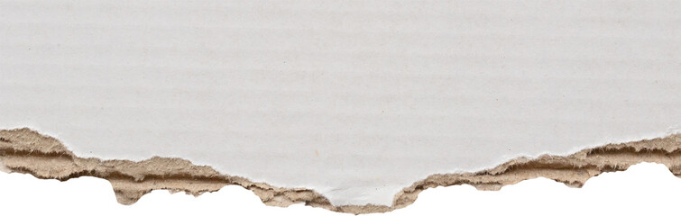 White ripped paper torn edges strips isolated on white background