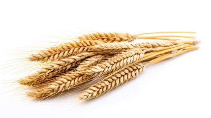 Golden harvest vibes. Bunches of wheat ears isolated on a white background. Ideal for packaging design or conveying wholesome, farm fresh goodness.