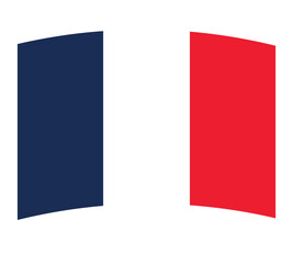 french flag vetor