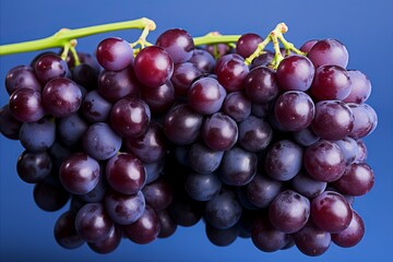 Fototapeta premium Close-up of Dark Grape Cluster on Rich Blue Background with Selective Focus and Copy Space