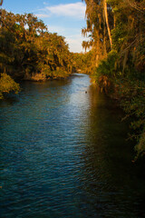 Views of Blue Springs State Park near Orlando, Florida