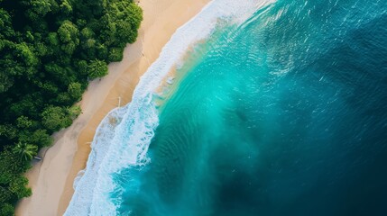 Serene beach aerial view with lush forest edge, golden sand, and turquoise waves for tranquil scenes or travel themes.