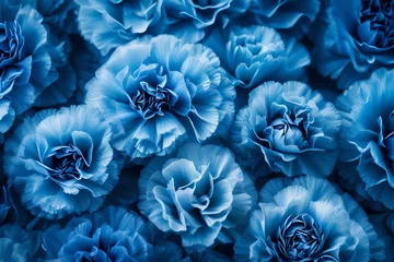 Fototapeten blue hydrangea flower © Aamir