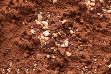 A textured landscape of finely ground cocoa powder adorned with crushed nuts.  The crushed nuts are light-colored and contrast well against the dark background of the cocoa. Food and desserts.