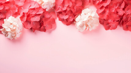 Fototapeta premium Hydrangea pink red white .Background copy space pastel background Floral background delicate composition for greeting cards, isolated flowers. Copy space banner