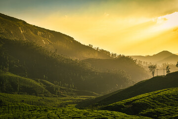 As the day comes to an end, soak in the mesmerizing view of the sun gracefully descending behind the rolling greenery