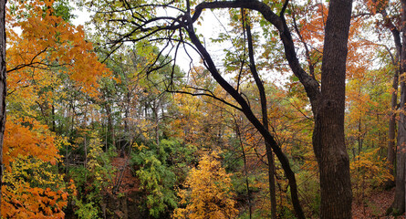 Fototapeta premium Indian Run Park in Autumn, Dublin, Ohio