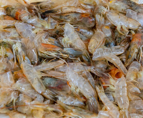 Shrimp shells and heads in fine detail