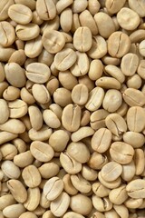 (Coffee substance) Thai Arabica and Robusta fully washed process for home roasting green coffee bean background