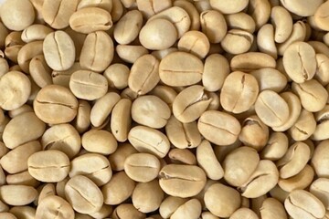 (Coffee substance) Thai Arabica and Robusta fully washed process for home roasting green coffee bean background