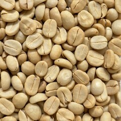 (Coffee substance) Thai Arabica and Robusta fully washed process for home roasting green coffee bean background