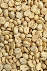 (Coffee substance) Thai Arabica and Robusta fully washed process for home roasting green coffee bean background