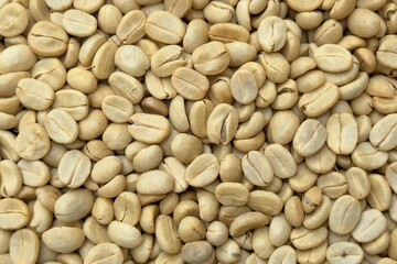 (Coffee substance) Thai Arabica and Robusta fully washed process for home roasting green coffee bean background