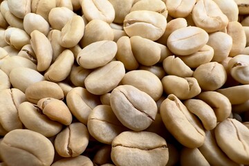 (Coffee substance) Thai Arabica and Robusta fully washed process for home roasting green coffee bean background