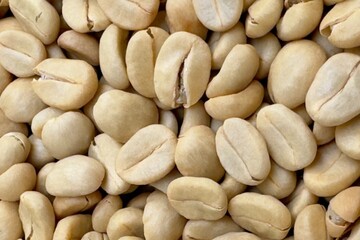 (Coffee substance) Thai Arabica and Robusta fully washed process for home roasting green coffee bean background