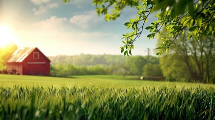 Farm advertisment background with copy space