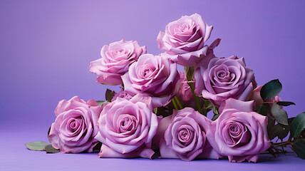 Fototapeta premium Elegant Roses on Lavender Backdrop