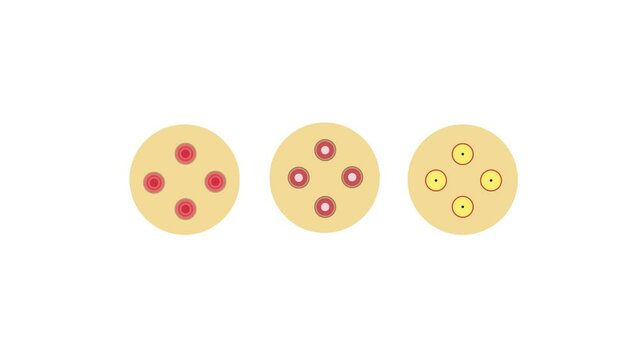 3 types of pimples on human facial skin, mild medium severe pimples icon, 4k animation on white background