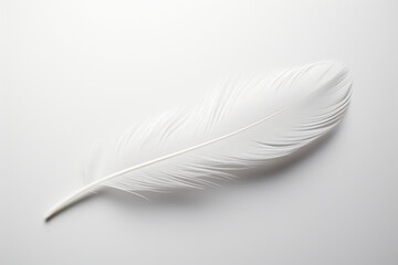 A single feather, delicately placed on a white background, highlighting its graceful and ethereal qualities in a minimalist composition.