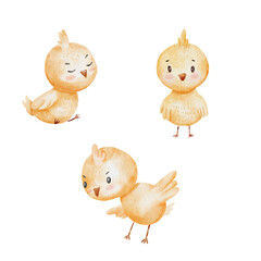 Watercolor animals, farm animals, chickens, cute animals, cute watercolor chickens, png files, elements on transparent background